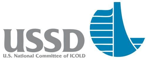 ussd logo